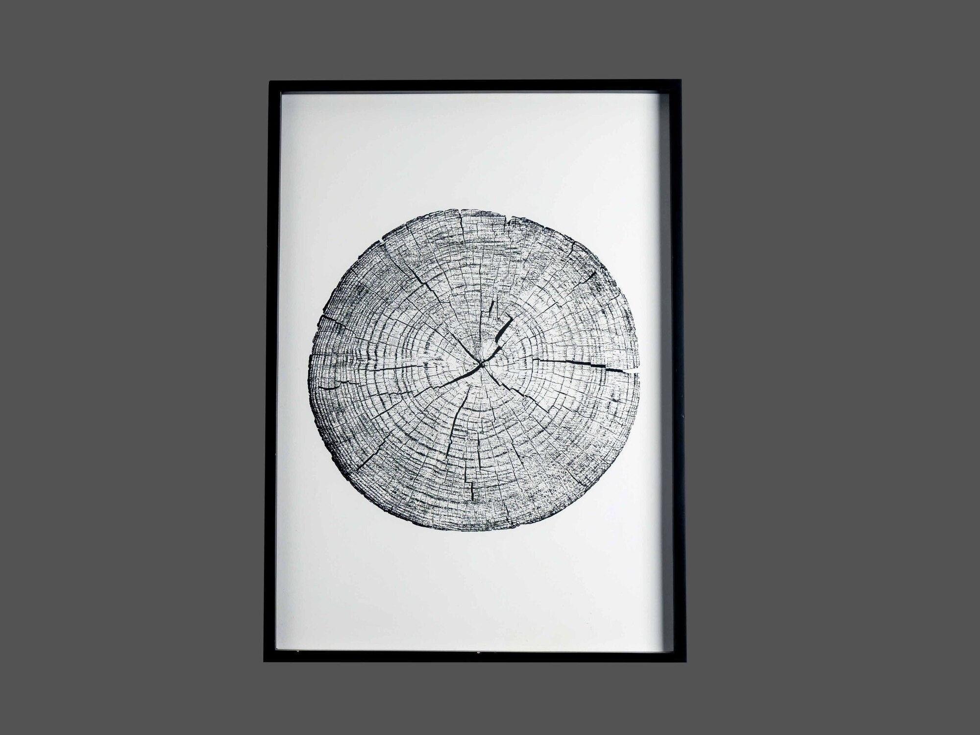 Fir Framed Wall Art w/ Tree Rings and Words Image, Styles 1