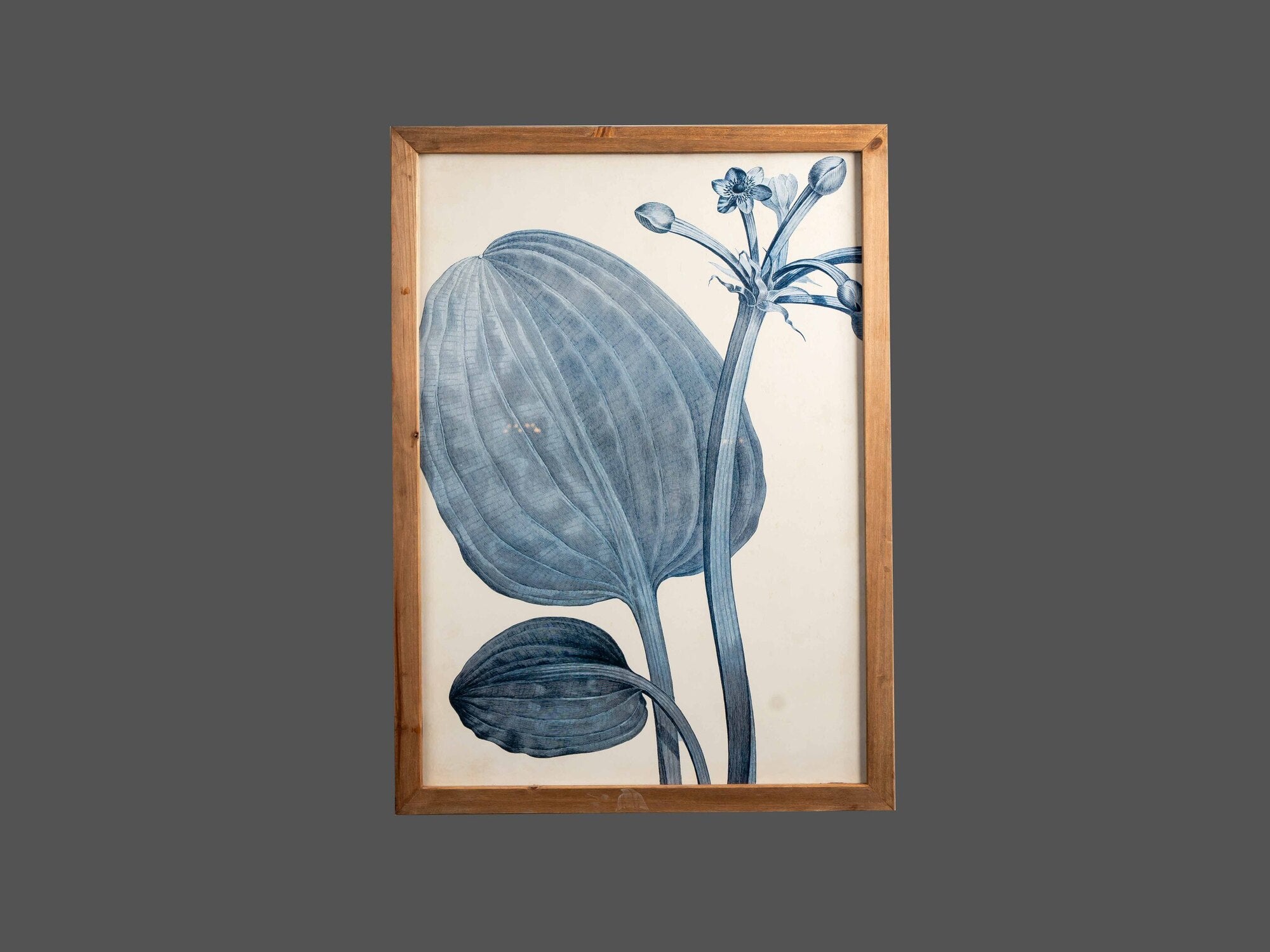 Fir Framed Wall Art w/ Botanical Image, Indigo, Styles 1