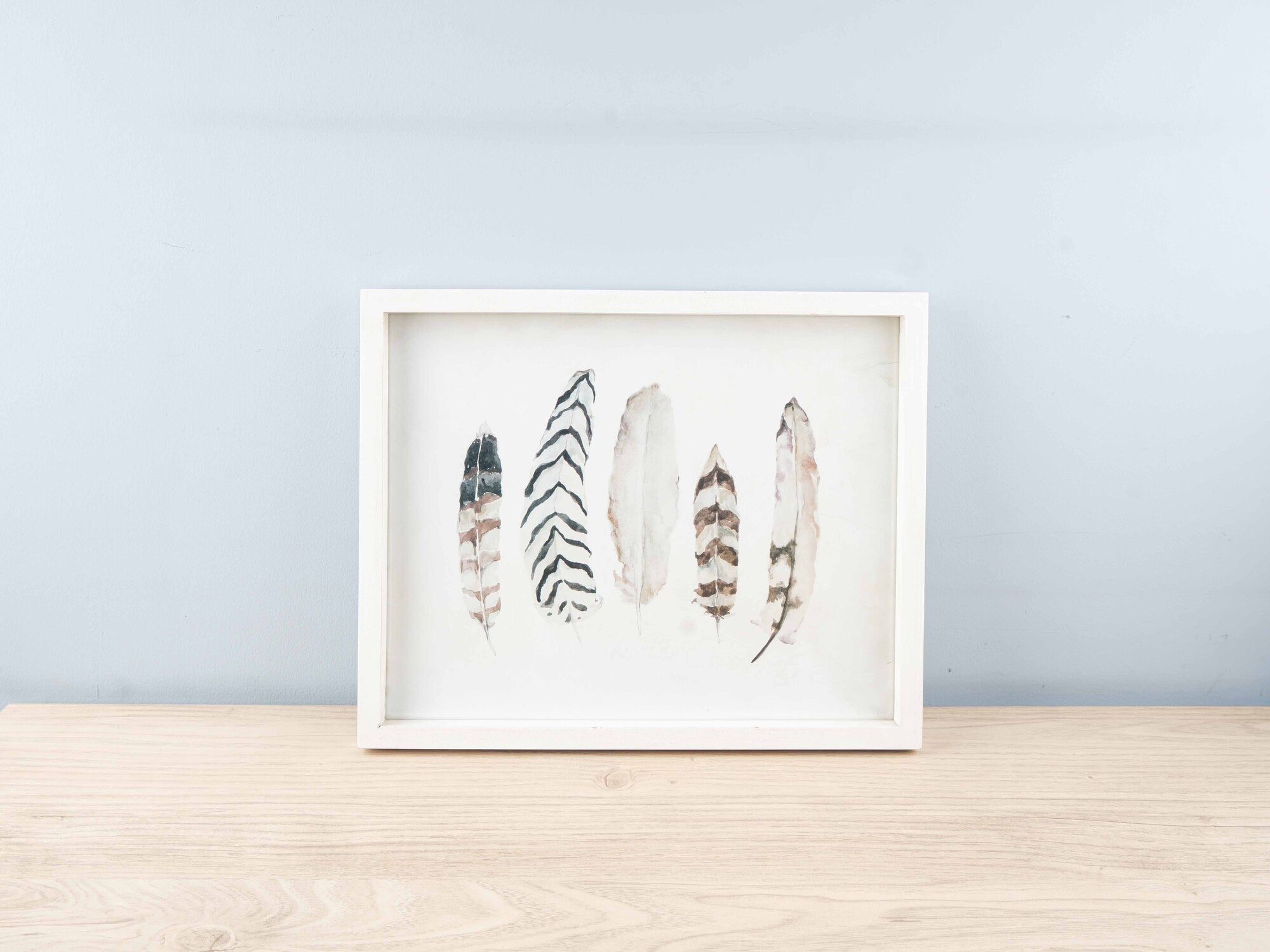 Fir Framed Wall Art w/ Feather Image, White