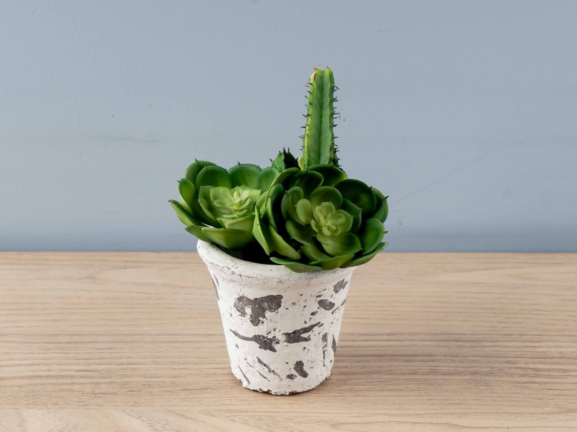 Clay Pot, Distressed Finish, 4 Styles, Holds 3" Pot (Each One Will Vary)