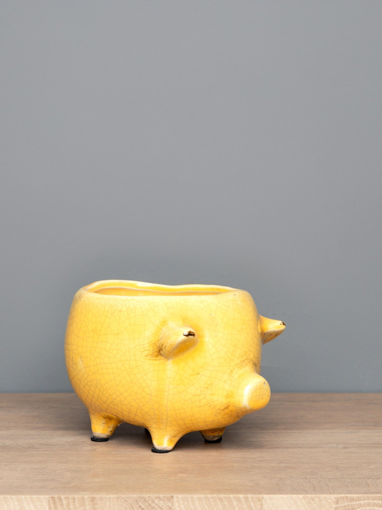 Terra Cotta Pig Planter