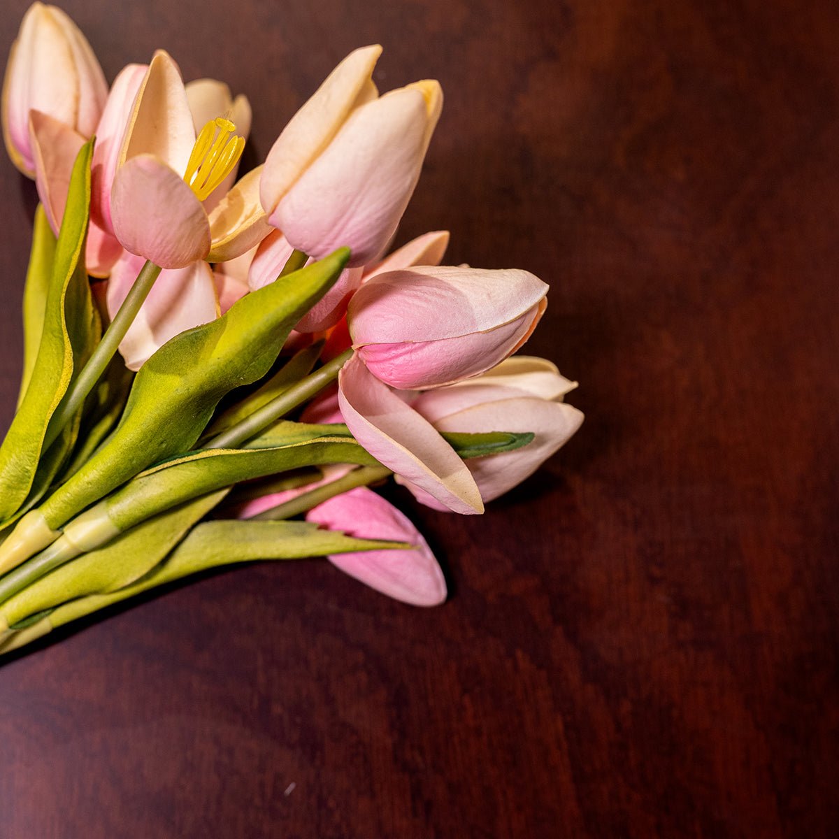 Mini Tulip, 12 Flowers, Pink