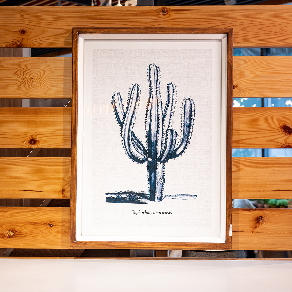 Fir Framed Wall Art w/ Cactus Image, Blue