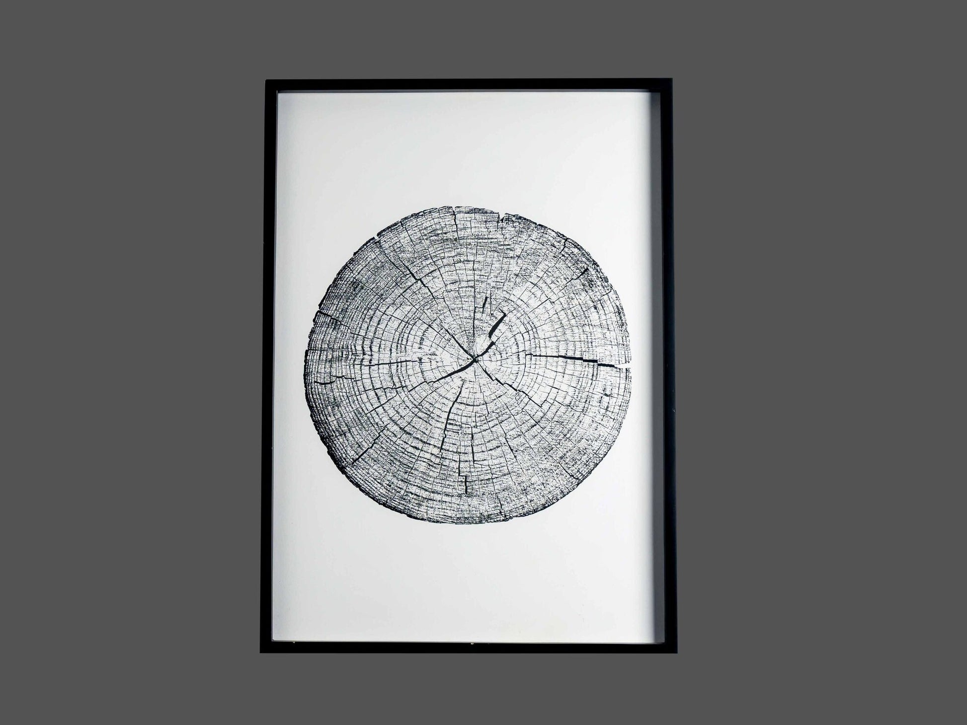 Fir Framed Wall Art w/ Tree Rings and Words Image, Styles 1