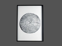 Fir Framed Wall Art w/ Tree Rings and Words Image, Styles 1