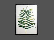 Wood Frame Wall Art w/ Palm Fronds, Styles 2