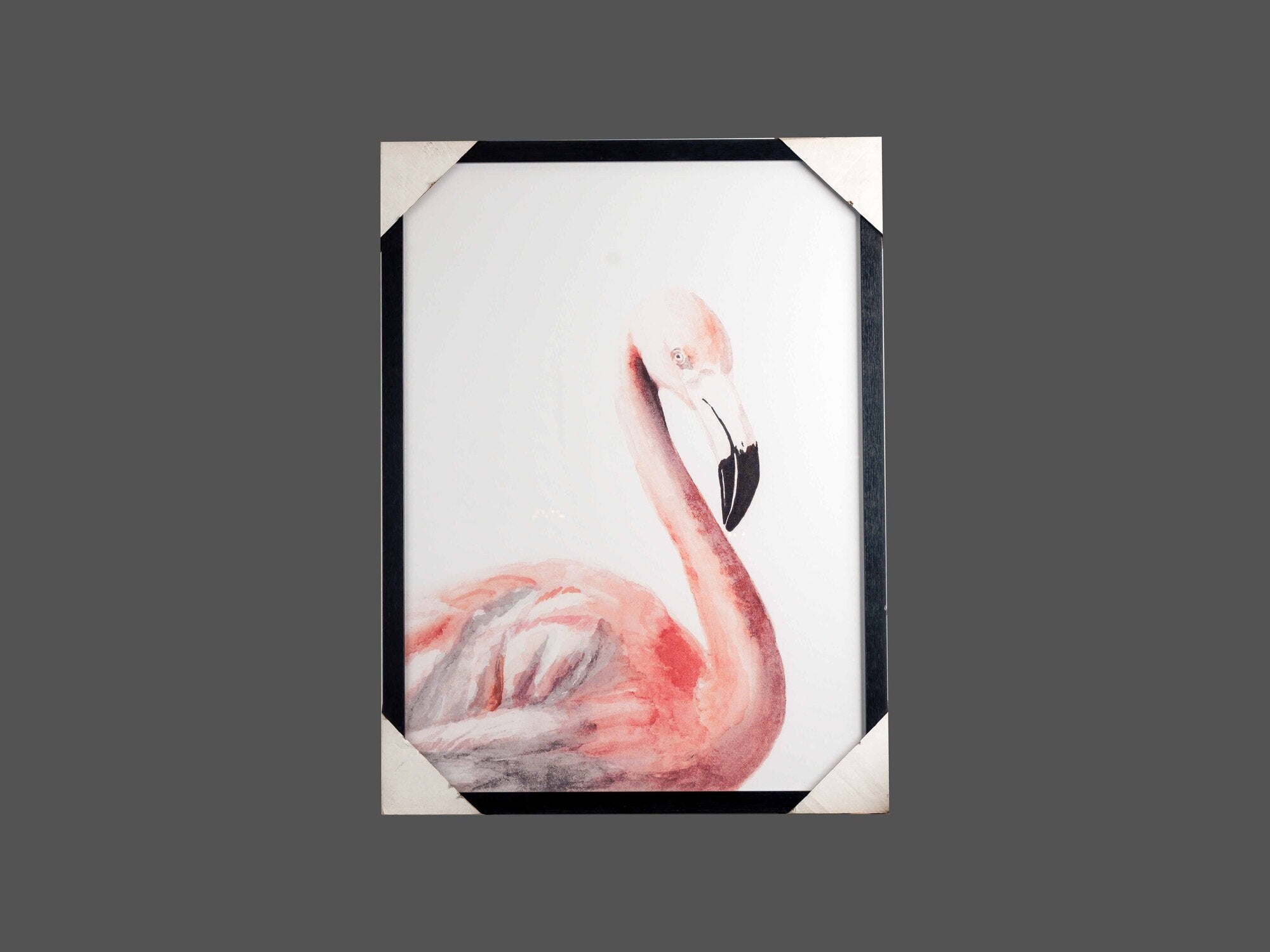 PS Framed W/ Glass Flamingo Wall Art