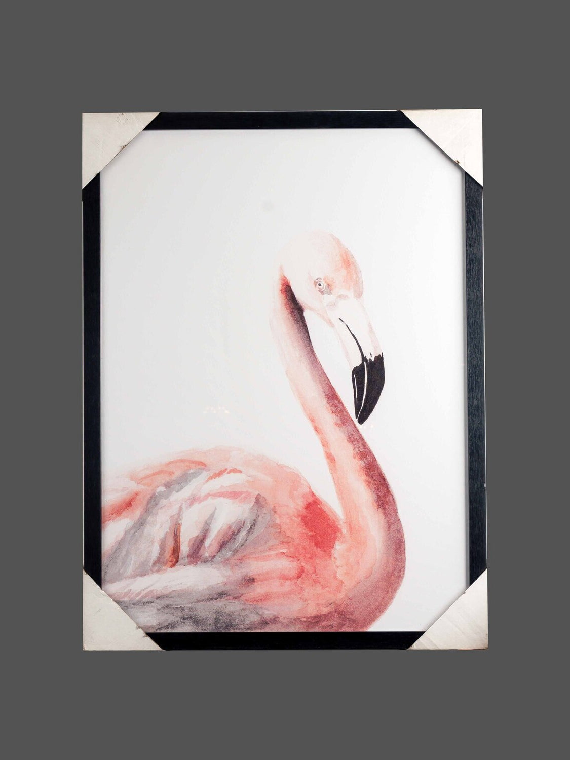 PS Framed W/ Glass Flamingo Wall Art