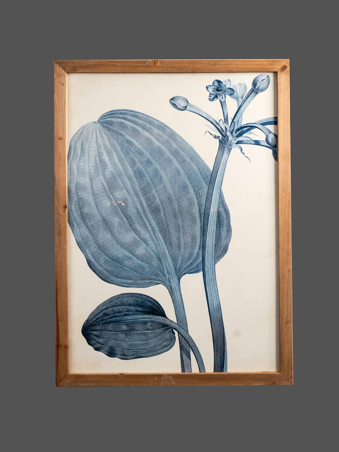 Fir Framed Wall Art w/ Botanical Image, Indigo, Styles 1