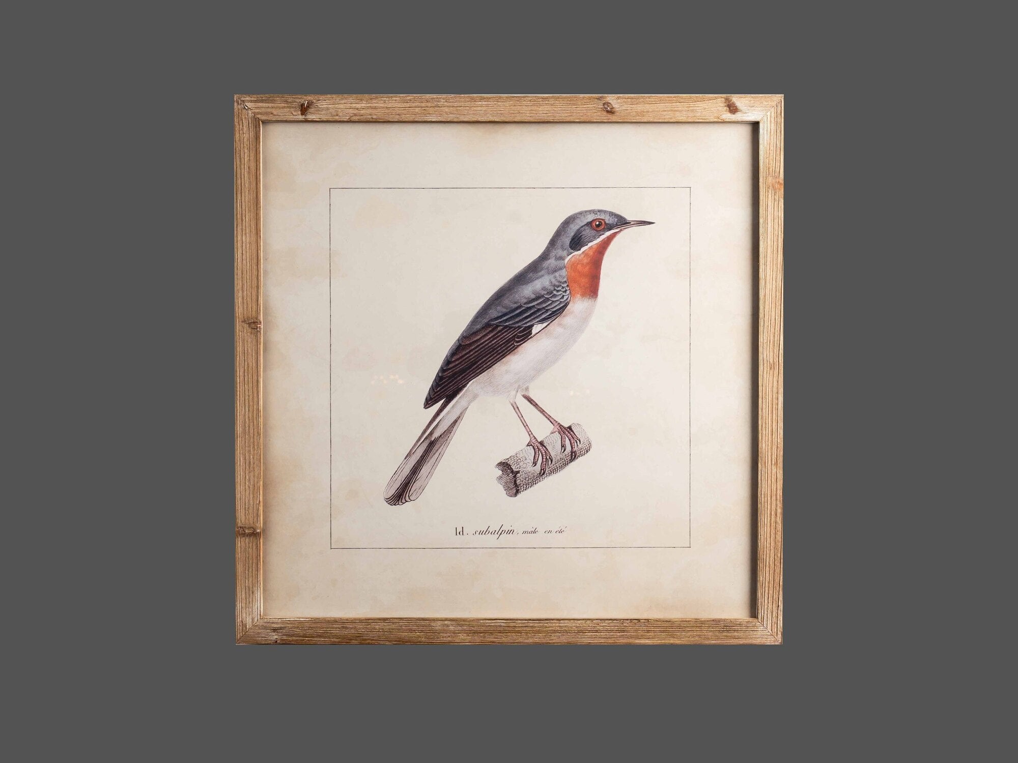 Wood Framed Wall Art w/ Bird Image, Styles 1