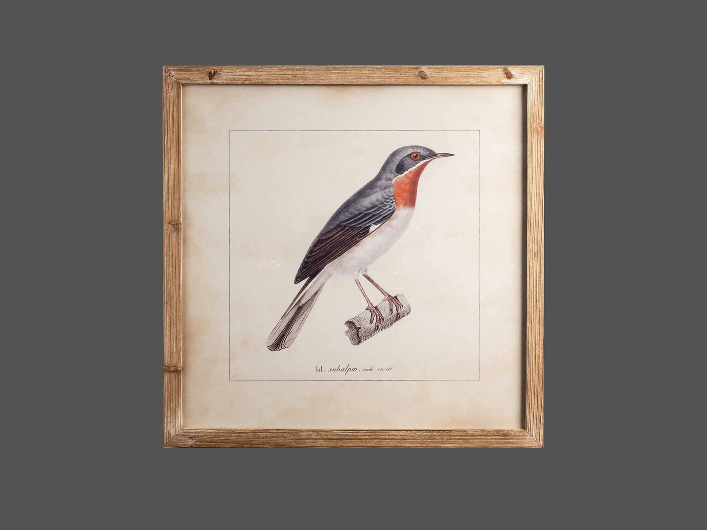 Wood Framed Wall Art w/ Bird Image, Styles 1