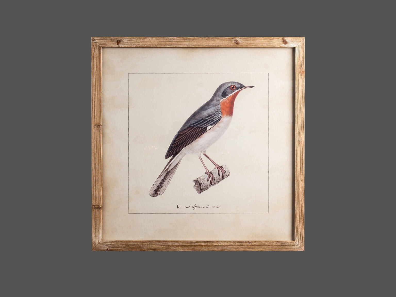 Wood Framed Wall Art w/ Bird Image, Styles 1