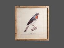Wood Framed Wall Art w/ Bird Image, Styles 1