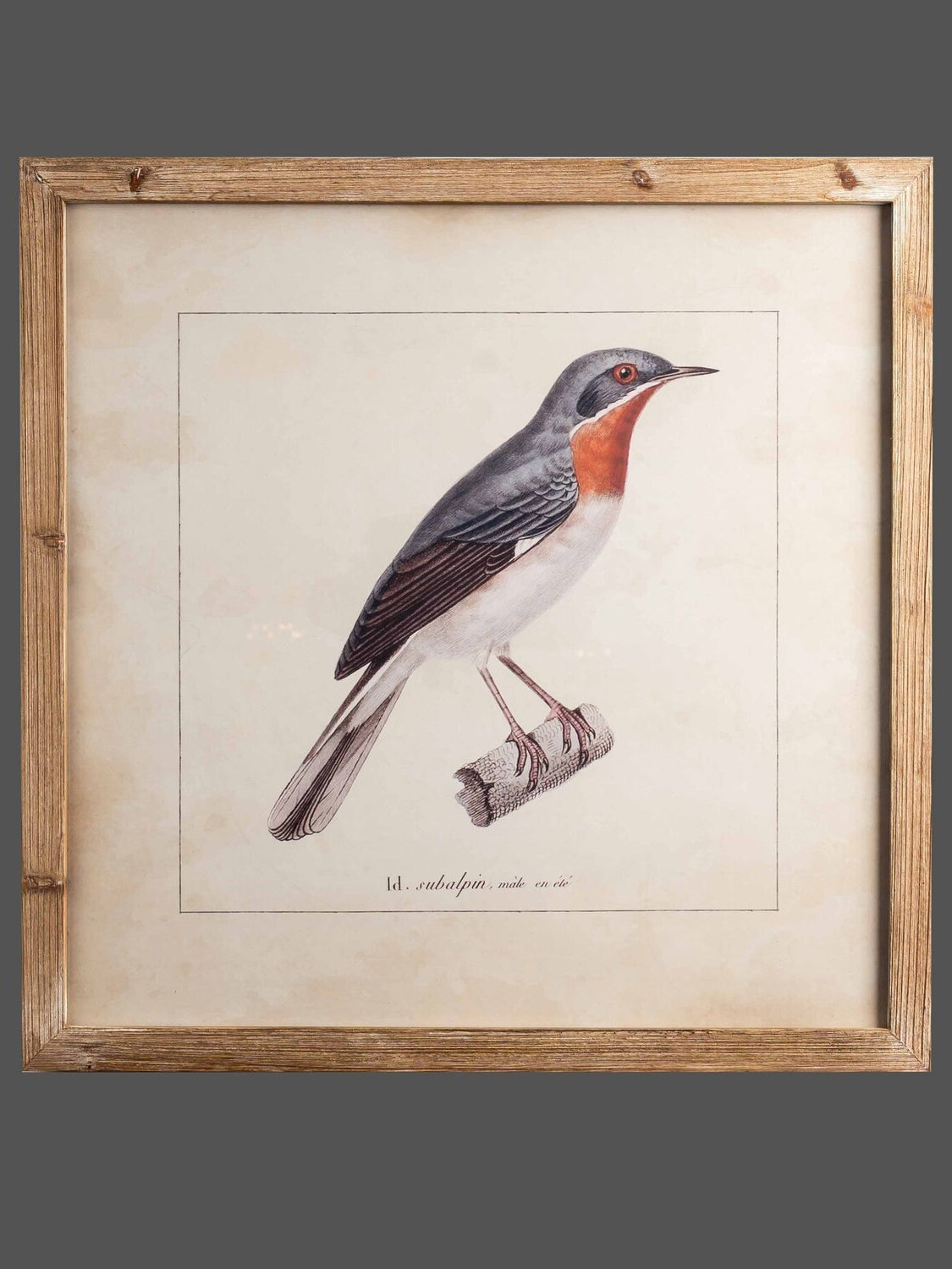 Wood Framed Wall Art w/ Bird Image, Styles 1