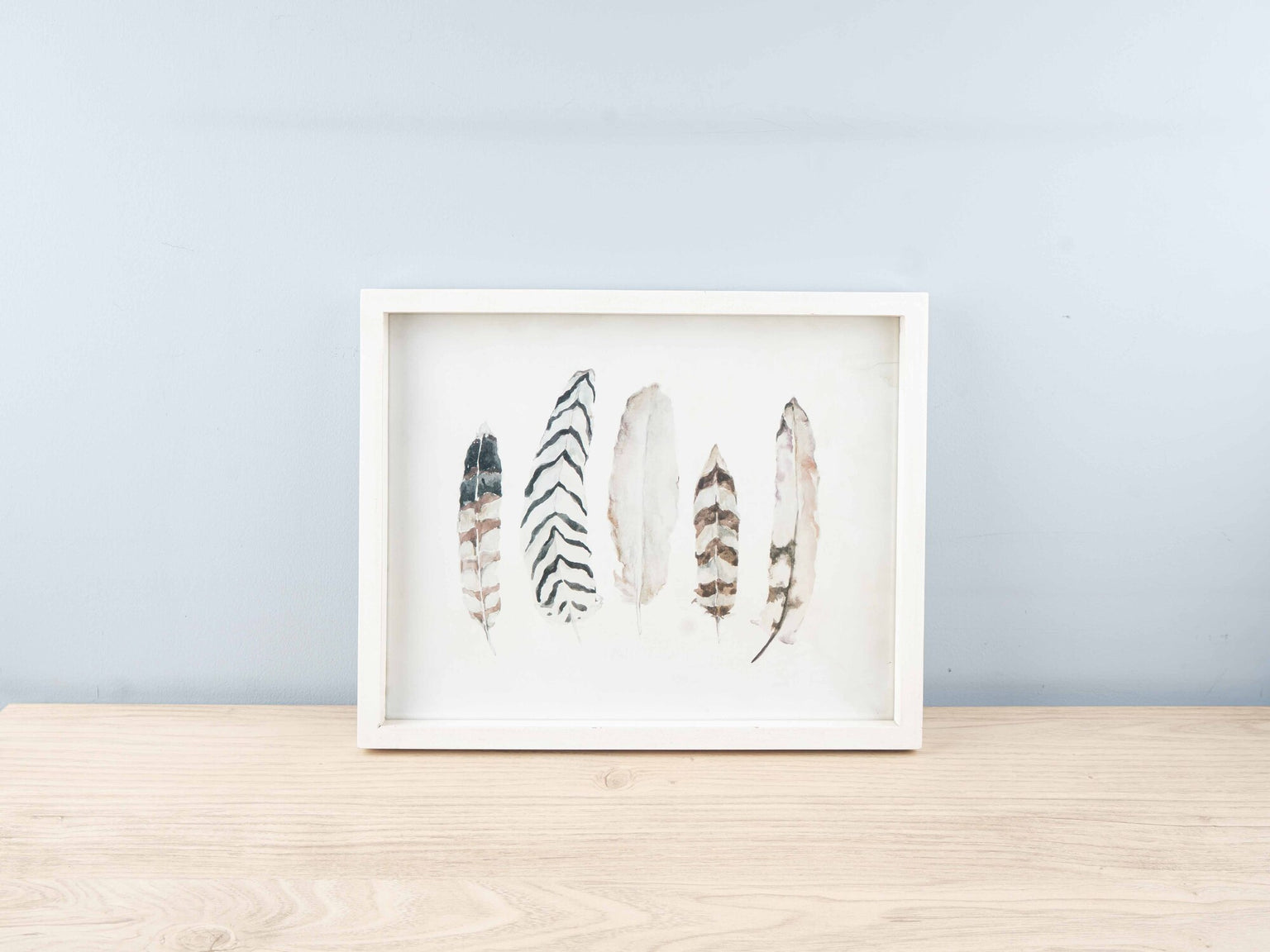 Fir Framed Wall Art w/ Feather Image, White