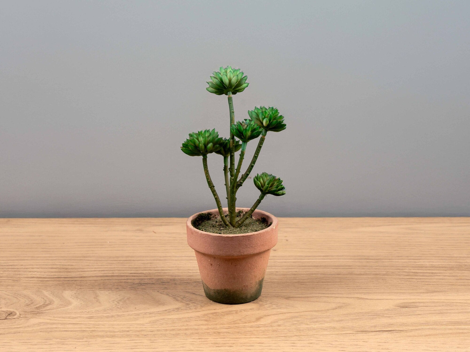 Artificial Plant in Pot