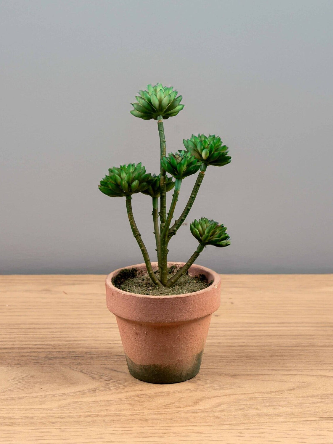 Artificial Plant in Pot