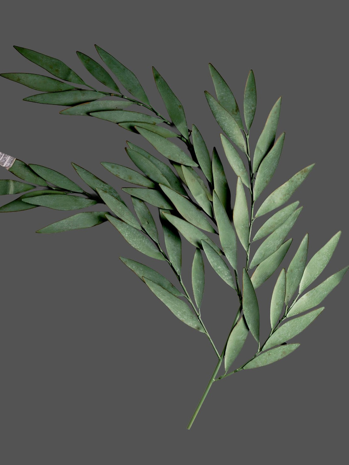 Iron Leaves Wall Decor, Aqua