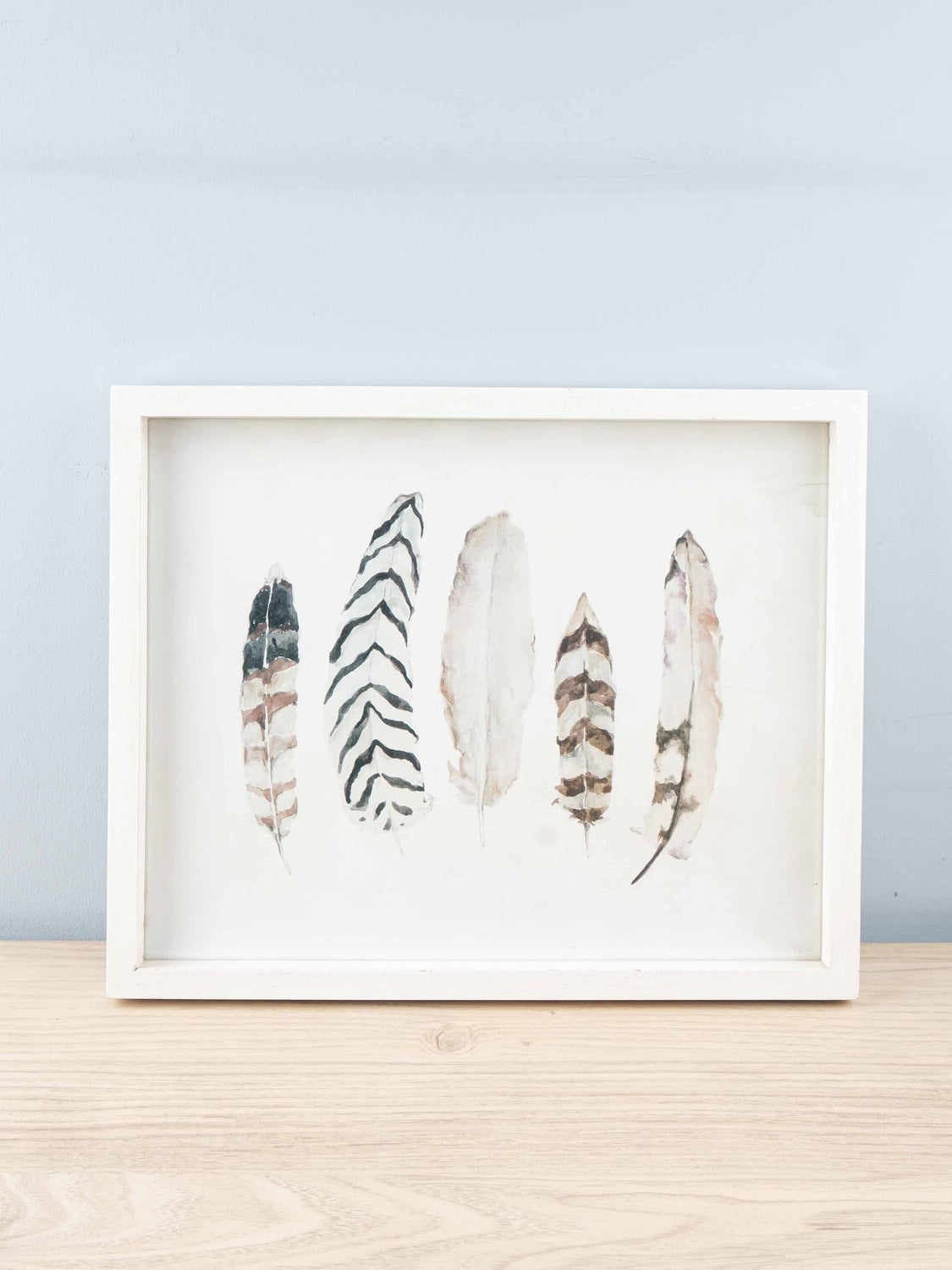 Fir Framed Wall Art w/ Feather Image, White