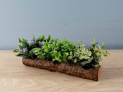 Artificial Plant on Log, Styles 1