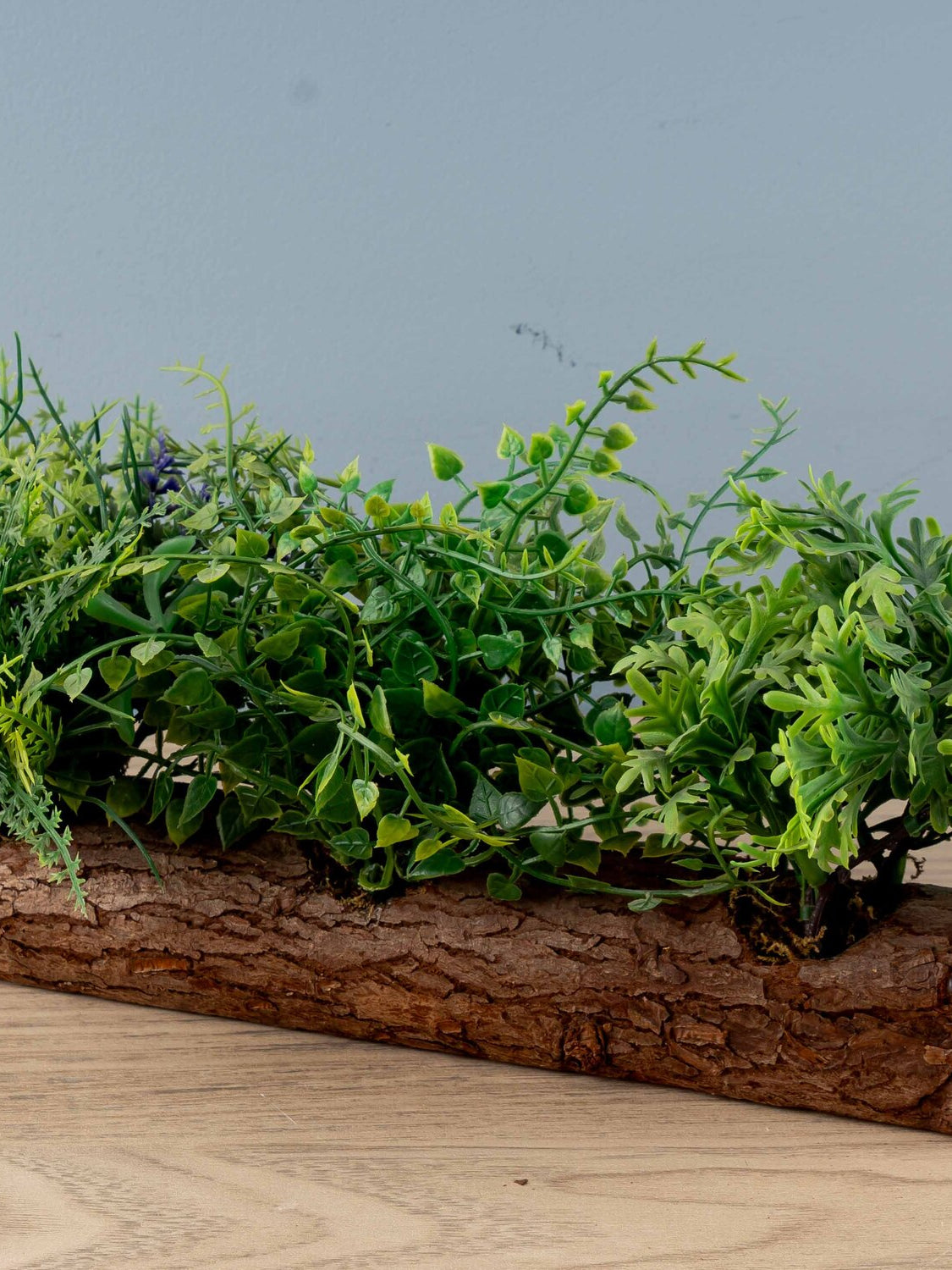 Artificial Plant on Log, Styles 1