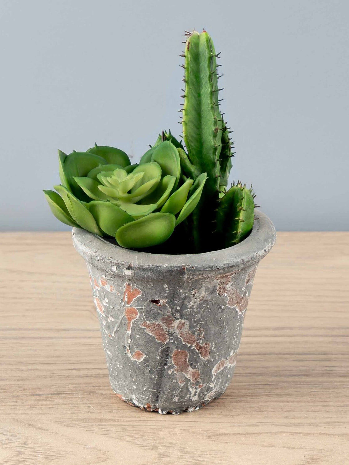 Clay Pot, Distressed Finish, 4 Styles, Holds 3" Pot (Each One Will Vary)