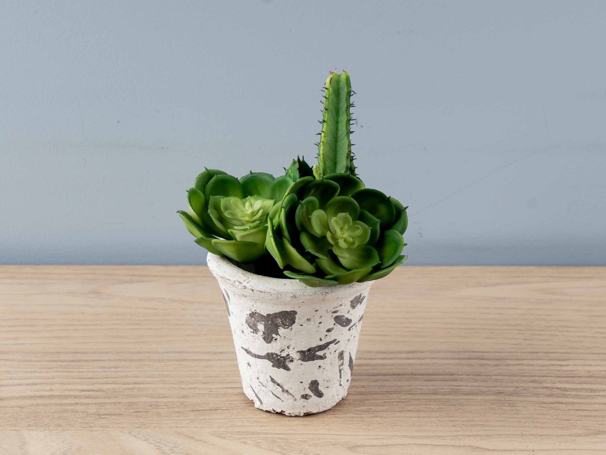 Clay Pot, Distressed Finish, 4 Styles, Holds 3" Pot (Each One Will Vary)