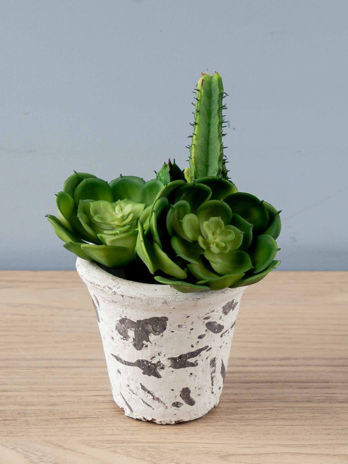 Clay Pot, Distressed Finish, 4 Styles, Holds 3" Pot (Each One Will Vary)