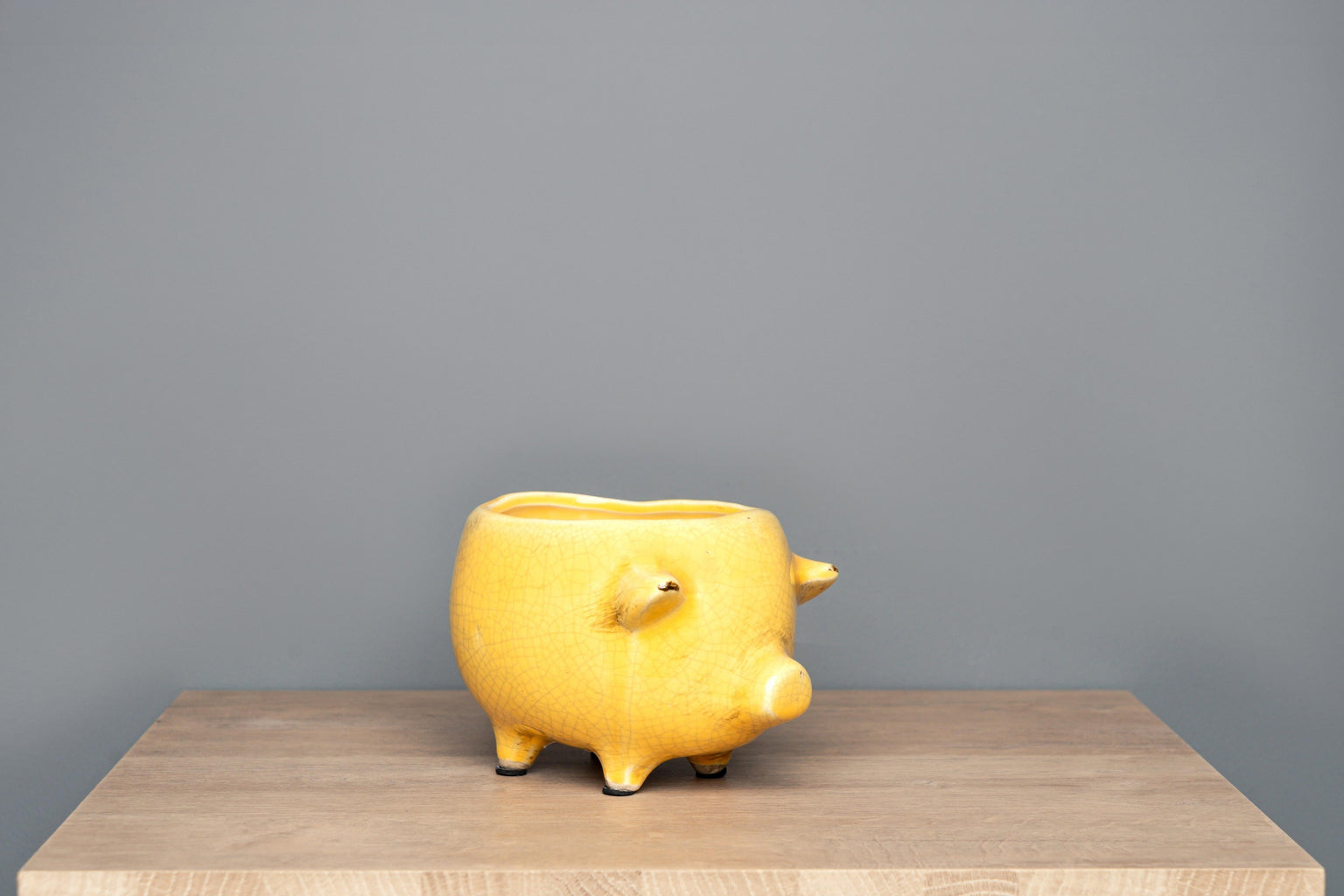 Terracotta Pig Planter