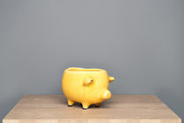 Terracotta Pig Planter
