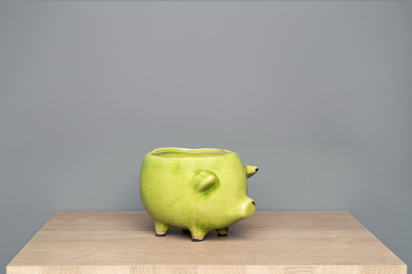 Terra Cotta Pig Planter