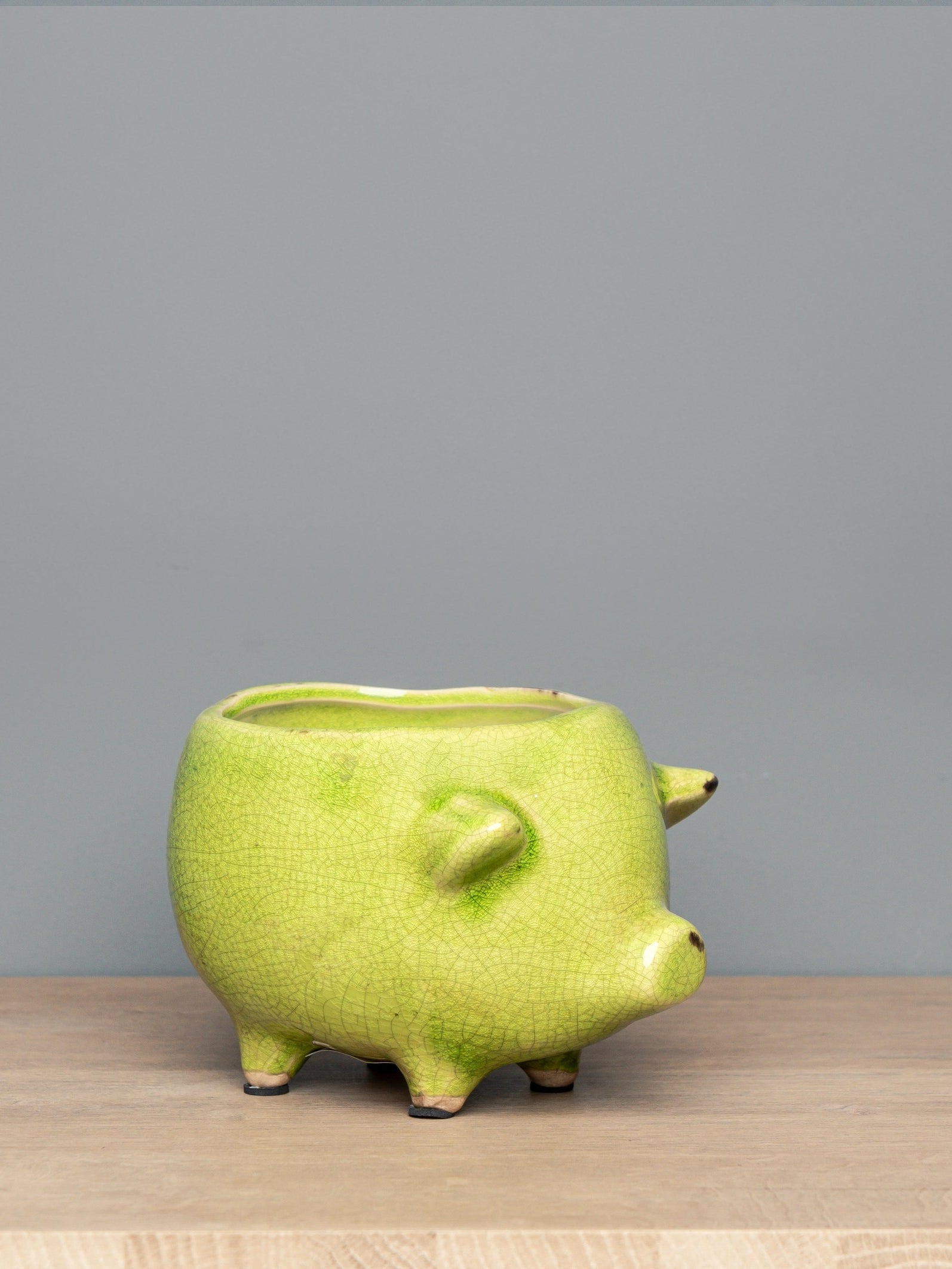 Terra Cotta Pig Planter