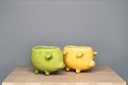 Terra Cotta Pig Planter