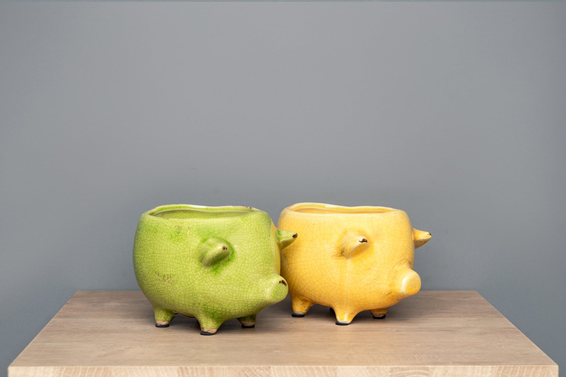 Terracotta Pig Planter