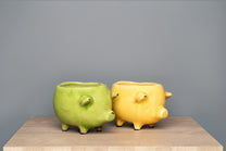 Terracotta Pig Planter