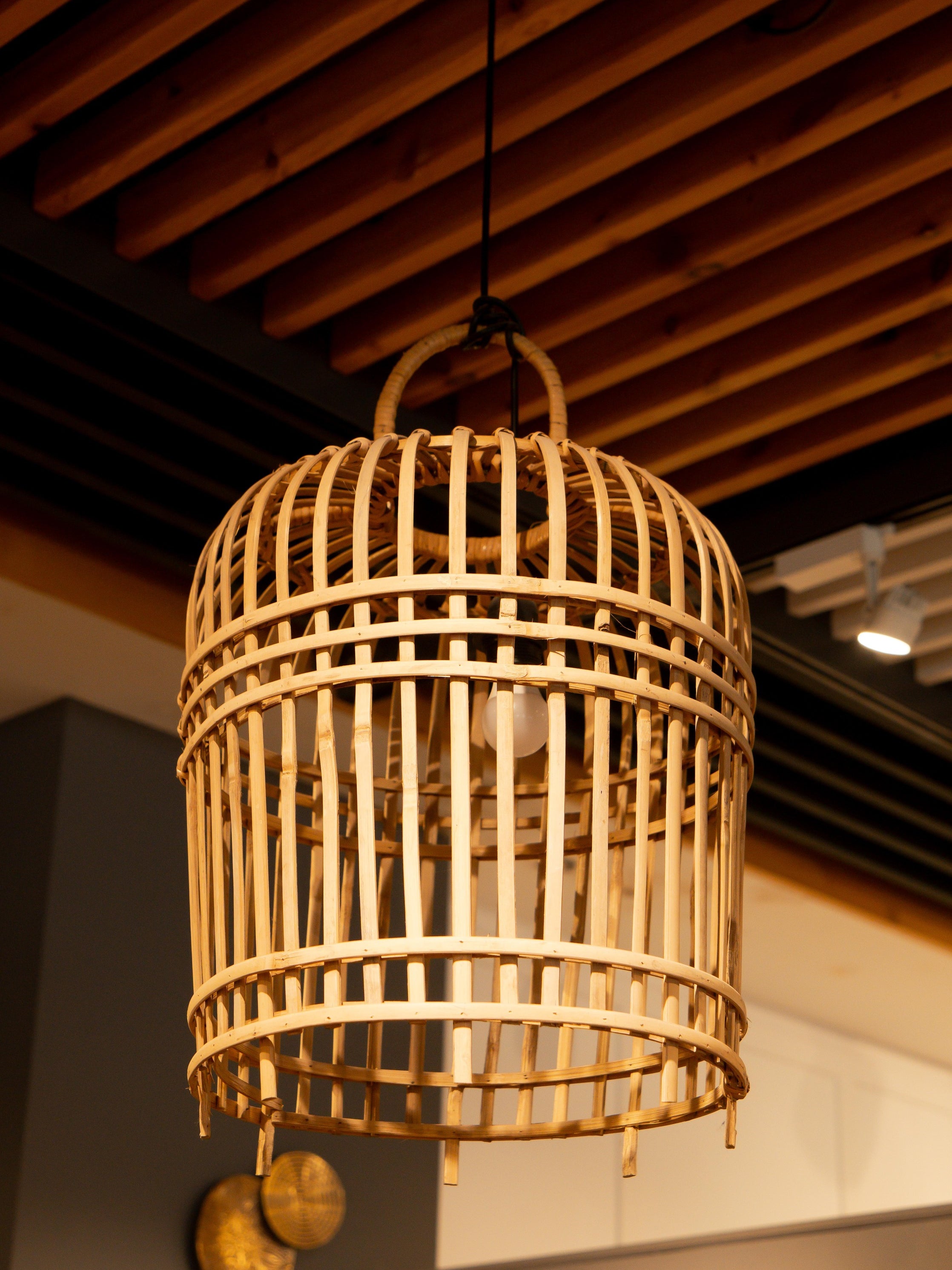 Bamboo Pendant, Small