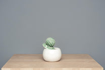 Stoneware Jewelry Box