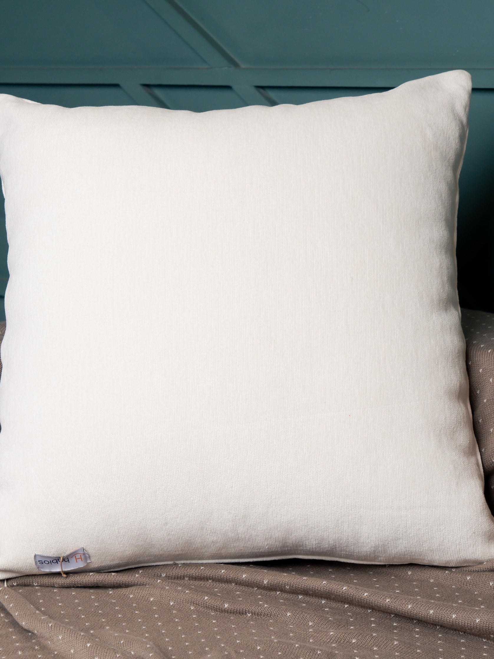 White Velvet Sham Set of 2