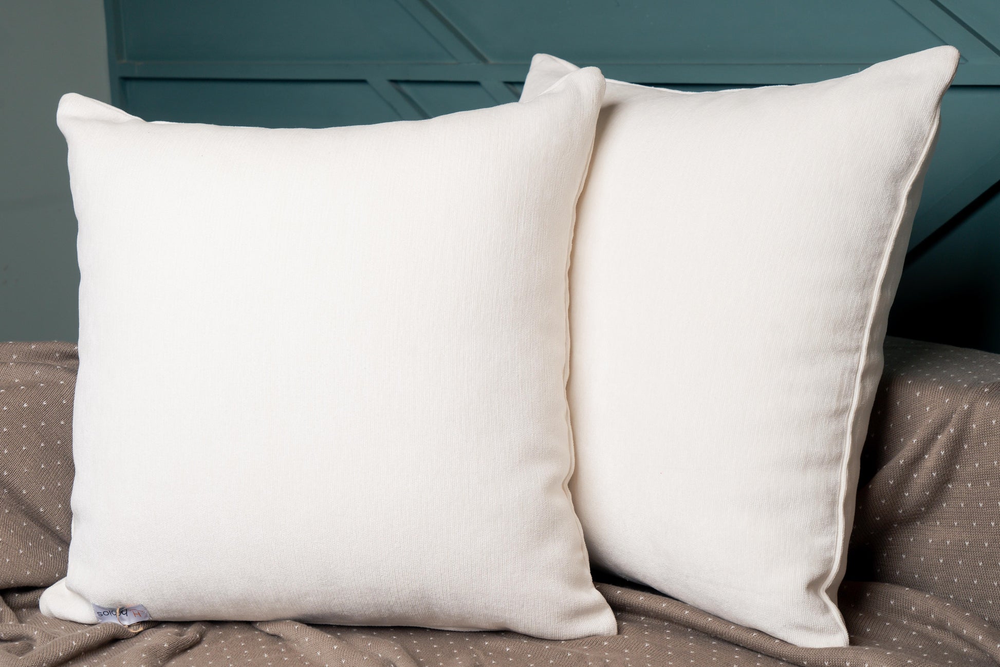 White Velvet Sham Set of 2