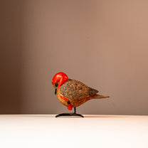 Elizabeth Resin Bird w/ Metal Feet