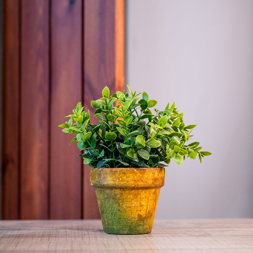 Faux Greenery