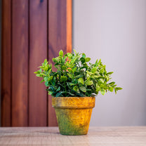 Faux Greenery