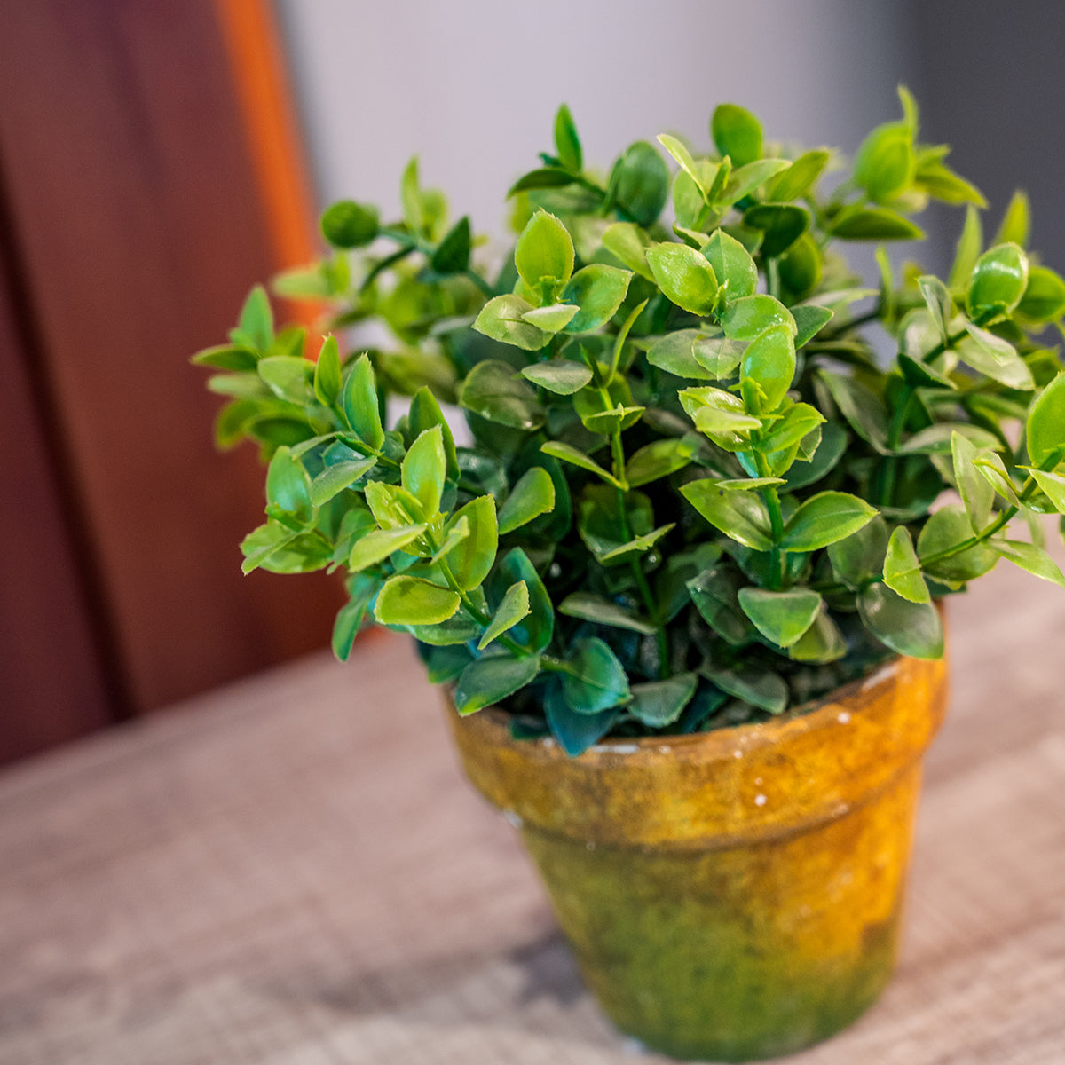 Faux Greenery
