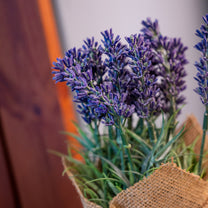 Burlap Wrapped Artificial Lavender Plant