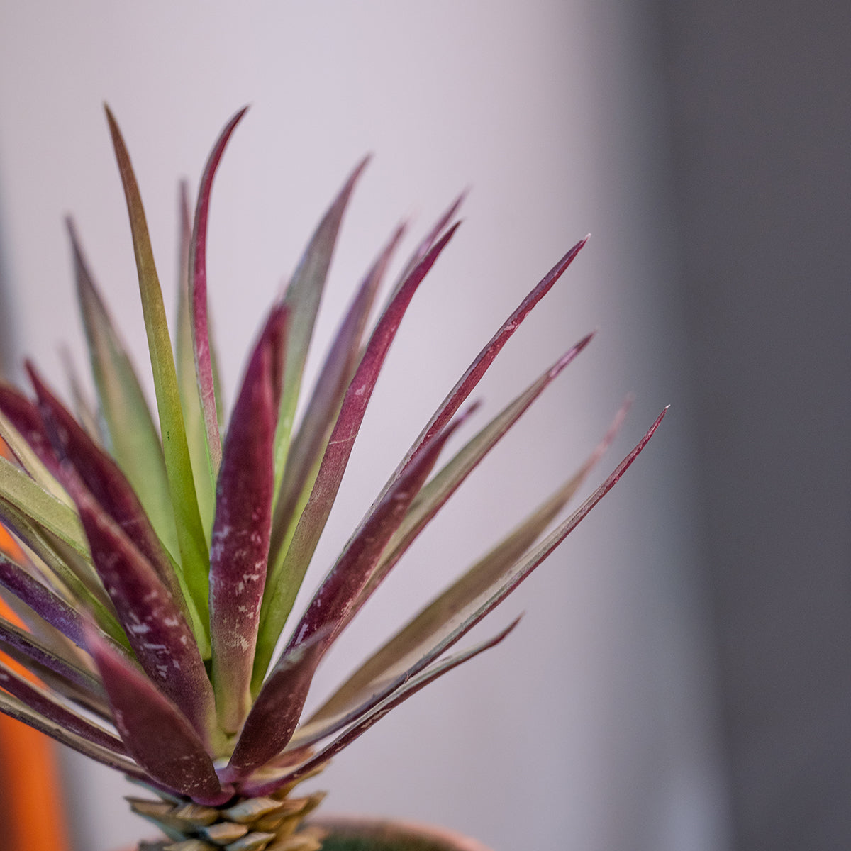 Artificial Plant in Pot