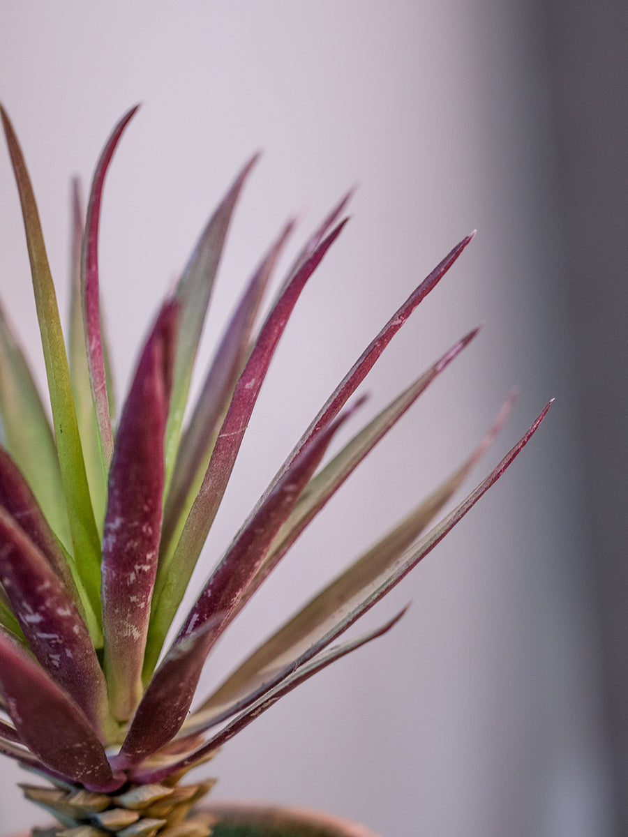 Artificial Plant in Pot