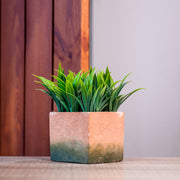 Artifical Plant in Pot