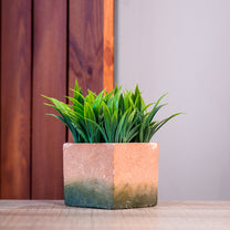 Artifical Plant in Pot
