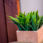 Artifical Plant in Pot