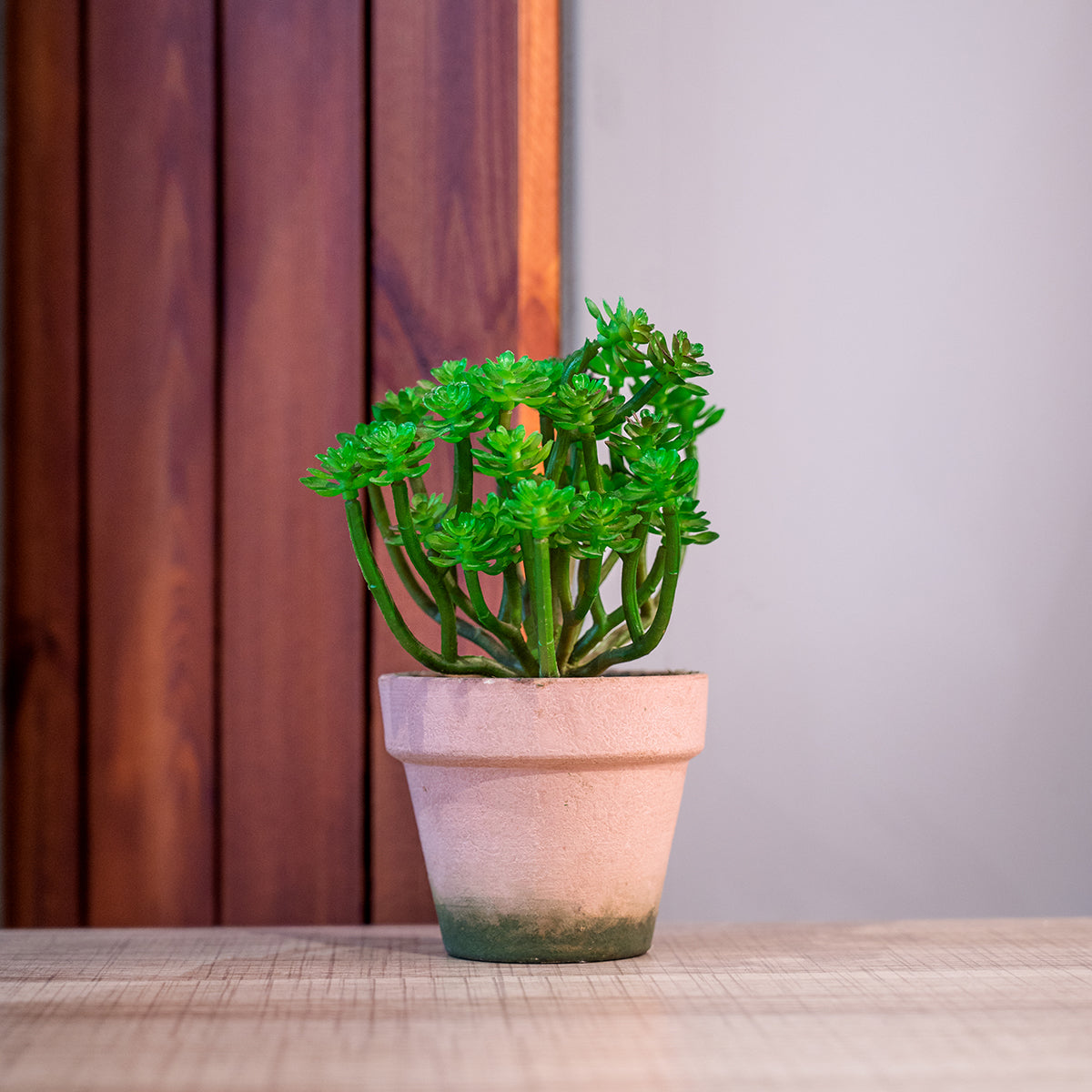 Artificial Plant in Pot